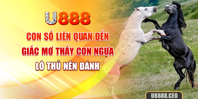 Con số liên quan đến giấc mơ thấy con ngựa lô thủ nên đánh