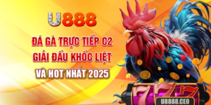 Đá Gà Trực Tiếp C2 – Giải Đấu Khốc Liệt Và Hot Nhất 2025