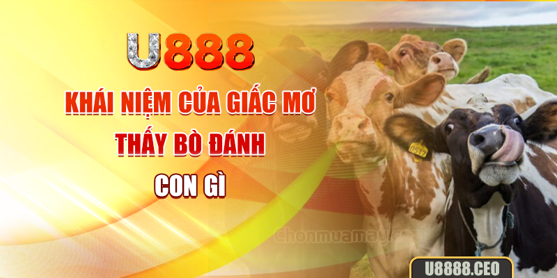 Khái niệm của giấc mơ thấy bò đánh con gì