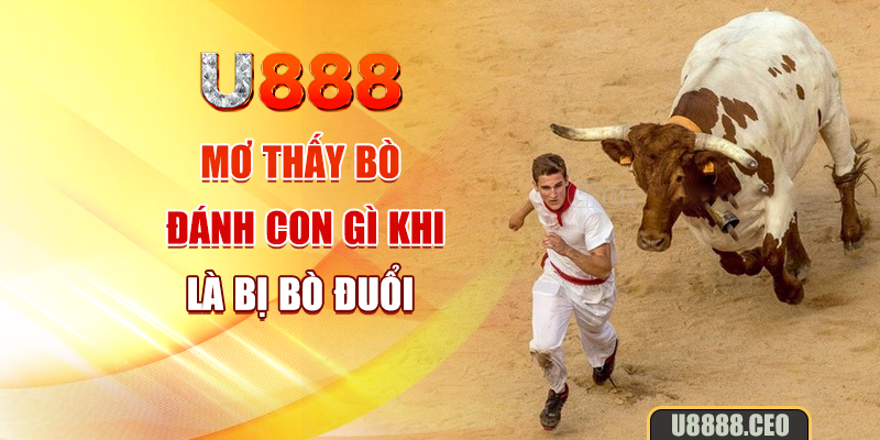 Mơ thấy bò đánh con gì khi là bị bò đuổi