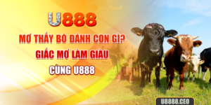 Mơ Thấy Bò Đánh Con Gì? Giấc Mơ Làm Giàu Cùng U888