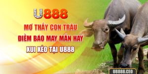Mơ Thấy Con Trâu - Điềm Báo May Mắn Hay Xui Xẻo Tại U888