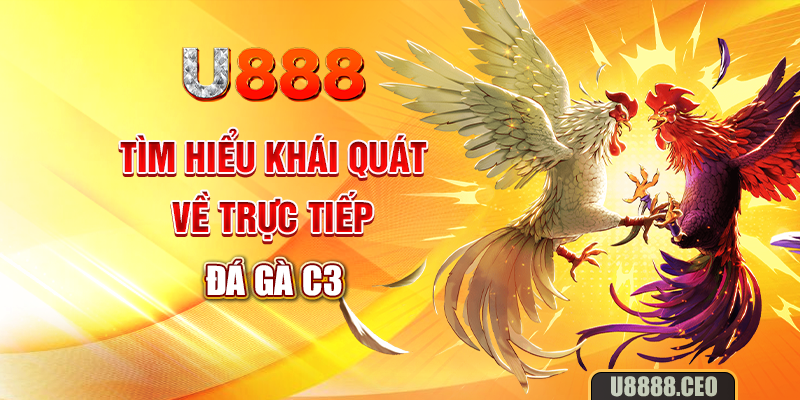 Tìm hiểu khái quát về trực tiếp đá gà C3