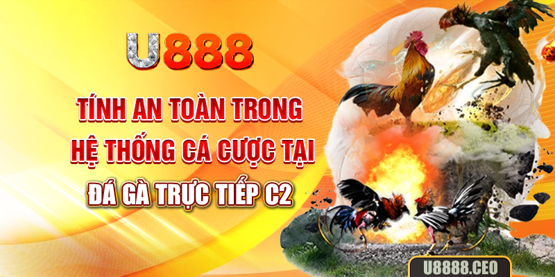 Tính an toàn trong hệ thống cá cược tại đá gà trực tiếp C2