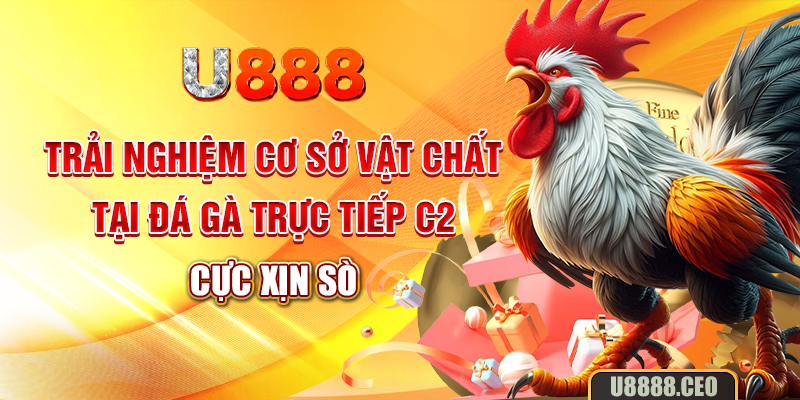 Trải nghiệm cơ sở vật chất tại đá gà trực tiếp C2 cực xịn sò