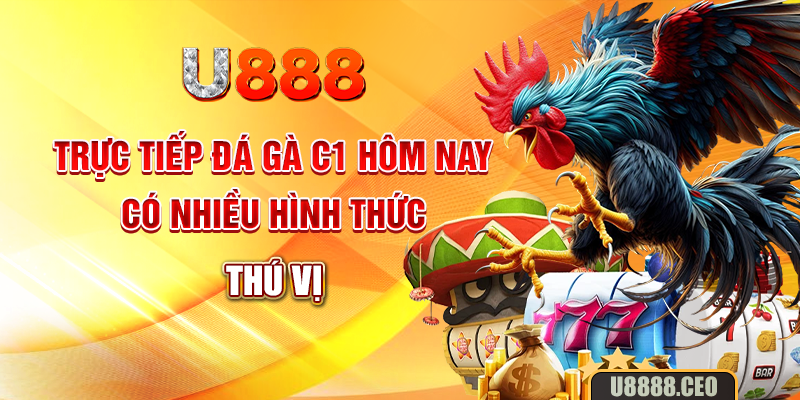 Trực tiếp đá gà C1 hôm nay có nhiều hình thức thú vị