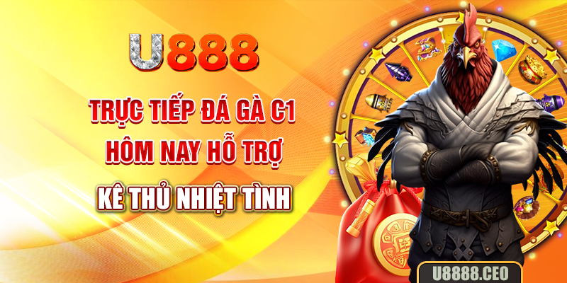 Trực tiếp đá gà C1 hôm nay hỗ trợ kê thủ nhiệt tình