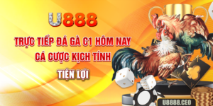 Trực Tiếp Đá Gà C1 Hôm Nay - Cá Cược Kịch Tính, Tiện Lợi
